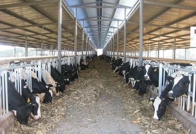 生鮮乳收購 行業焦慮與市場調節下的乳業新格局