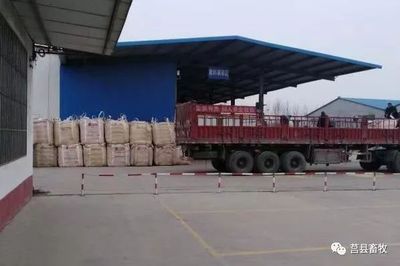 【數說“3·15”】莒縣畜牧獸醫局多措并舉保障畜產品安全，生鮮乳收購環節嚴把關