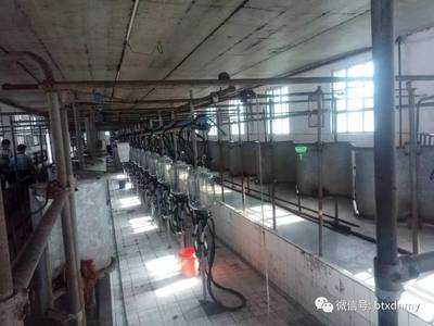 2017年下半年全國生鮮乳質量安全監測任務圓滿完成，收購環節安全保障持續升級