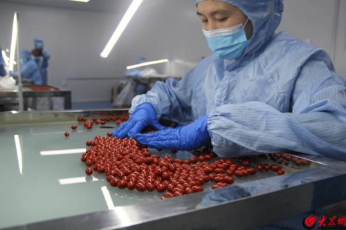 南極維康透明工廠體驗(yàn) 揭秘健康食品與生鮮乳收購的全過程